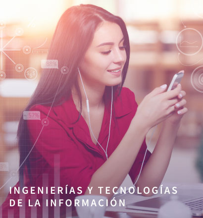 insumos_web_indo_03