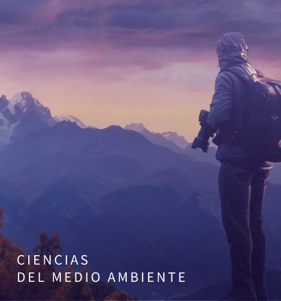 insumos_web_indo_04