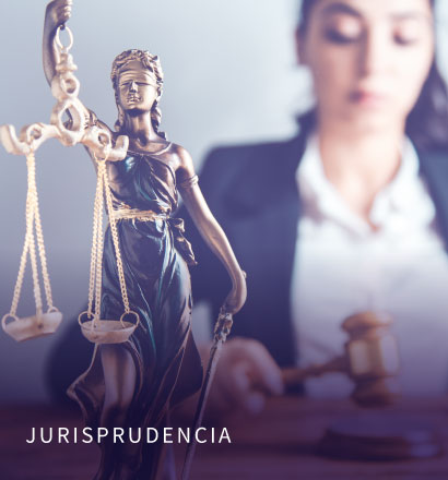 insumos_web_indo_06