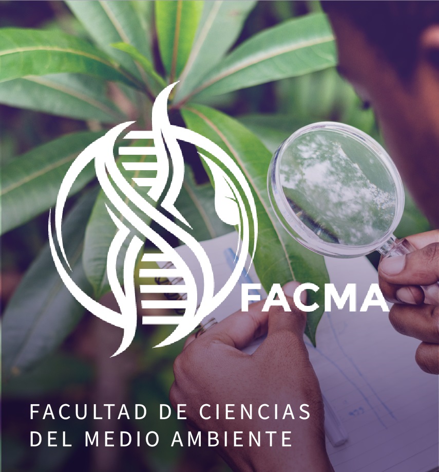 insumos_web_indo_posgrado_04
