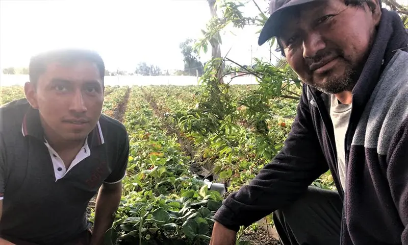 Estudiante Indoamericano crea un sistema de riego que impulsa la agricultura del futuro